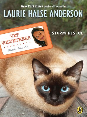 cover image of Storm Rescue